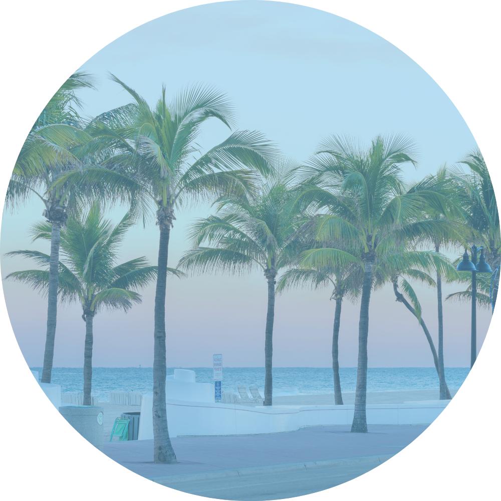 Holistic Environment